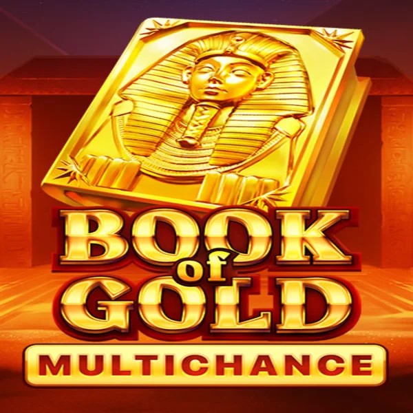 Book of Gold Multichance logo by Playson at Winomania Casino