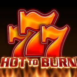 Hot To Burn game by Pragmatic Play – logo hosted on Winomania Casino